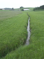 Regulierter Bach in Intensivgrünland bei Prendt / Elmberg; an solchen Stellen bestehen Schwierigkeiten, den Gewässerlauf beim Düngerausbringen auszusparen; 14.6.2005 