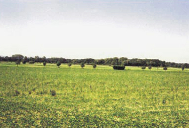 Blick aus dem Autofenster auf Ackerbaulandschaft