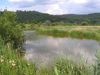 Stillwasserbereich im Hochwasserrückhaltebecken Teichstätt. 