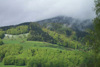 Buchen-dominierte Mischwälder am Südabhang zum Mondsee (Schußberg)