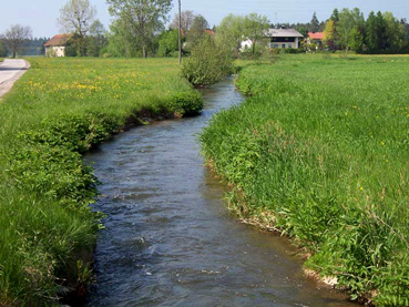 Enknach bei Oesterlehen, nördlich von Neukirchen: begradigter Bachverlauf, kaum Uferbestockung, intensive Nutzung bis an den Gewässerrand 