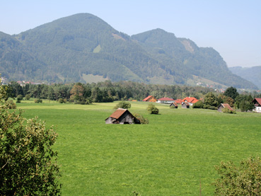 Mollner Becken, Blick Richtung Ortsteil Zinken bzw. Steyr: Intensivwiesenlandschaft mit eingestreuten Einzelgehölzen und Stadeln, hier vom Siedlungsrand her Zersiedelungstendenz 