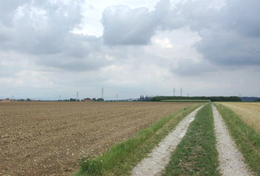 Hochterrasse mit landwirtschaftlichen Flächen 