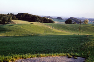 Moränenhügel um das Ibmer Moor 