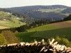 Blick von der Burg Lobenstein nach Süden auf den Lichtenberg mit Sendeturm 