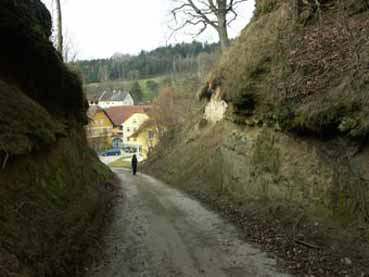 Hohlweg in Uttenthal bei Prambachkirchen. 