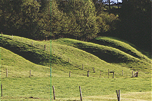 Kleinreliefierte Flyschhügel