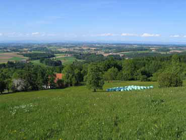 Blick ins Kremstal (Kremsmünster) 