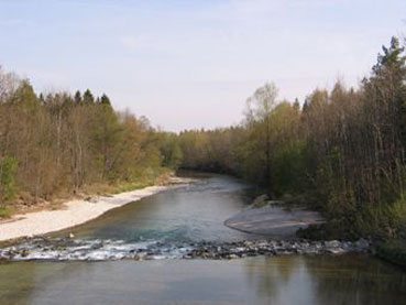Alm mit Sohlschwellen flussabwärts in Bad Wimsbach-Neydharting 