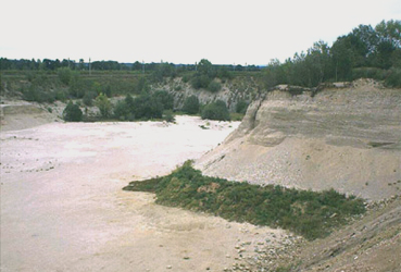 Schottergrube in der Gemeinde Gunskirchen