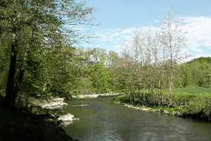 Vöckla oberhalb von Vöcklabruck