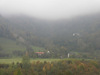 Landwirtschaftlich genutzte Ennsterrasse und angrenzenden Waldflächen, 800 m Flußabwärts Einmündung Trattenbach