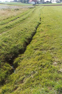 Grabenförmiges Fließgewässer ohne Ufervegetation (nordwestlich von Roitham)