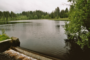 Rosenhofer Teich mit Wehr