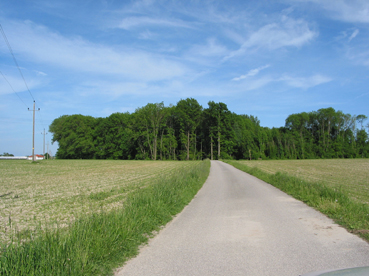 Laubwaldrest bei St. Marienkirchen