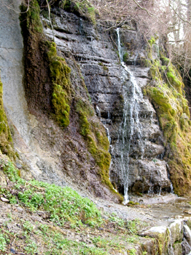 Kalktuffquelle bei Braunau 