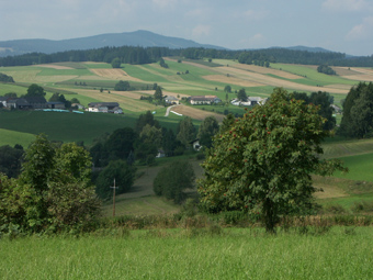 Kleinteilige Gewannflur am Ortsrand von Schenkenfelden, Vorderkönigschlag, Miesenwald und im Hintergrund der über die Raumeinheit thronende Sternstein; 1.9.2005