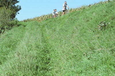 Versaumte Wiesenböschung bei Mettensdorf 