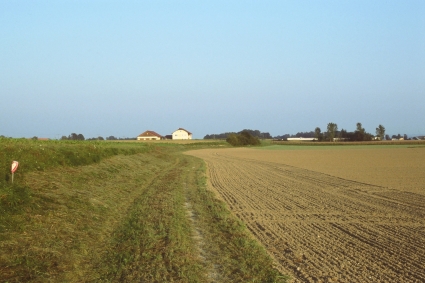 Wiesenböschung zwischen Straß und Naarn