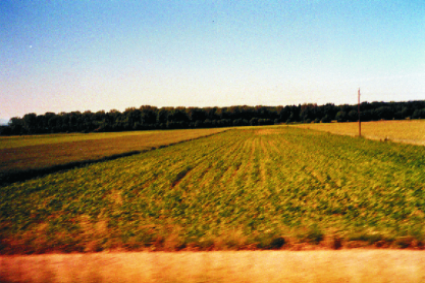 Blick aus dem Autofenster auf Ackerbaulandschaft
