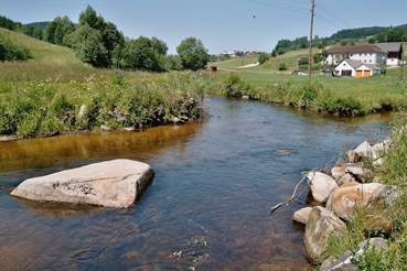 Zusammenfluss von Schwarzer und Weißer Aist, südl. von Weitersfelden