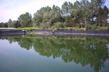 Regenwasserteich bei der Aschedeponie