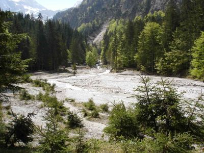 Der Straneggbach ein Zubringer der Alm in einem breiten Schotterbachbett