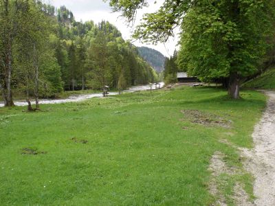 Eine Wildfütterung in Bernerau im Steyrlingtal