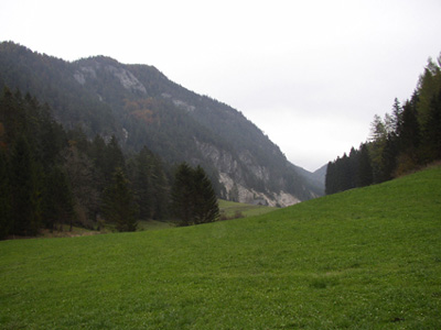 Veichltal in Richtung Steinwand