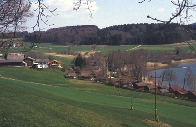 Lochen: Blick auf das NO-Ende des Mattsees 