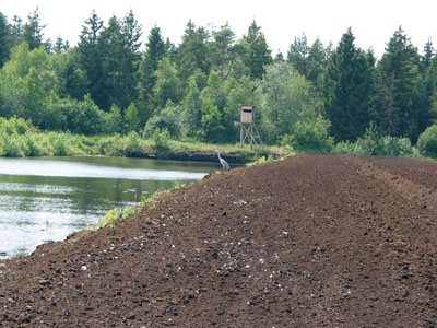 Torfabbau im Ibmer Moor