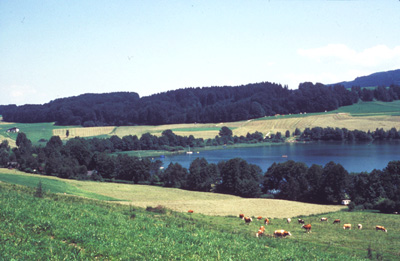 Blick über den Mattsee nach Nordost 1987 