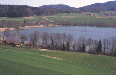 Blick über den Mattsee nach Nordost 2003