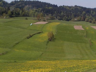 reliefierte Stufenrainlandschaft mit kleinräumiger Nutzungsstrucktur nördlich von Ödenkirchen bei Ulrichsberg
