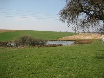 Dorfteich am Ortsrand von Waidern