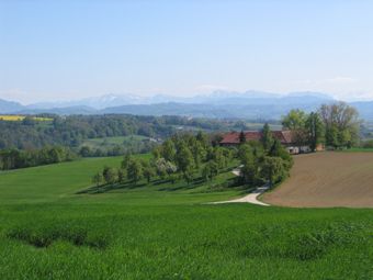 Blick ins Kremstal mit Leitungstrassen im Vordergrund