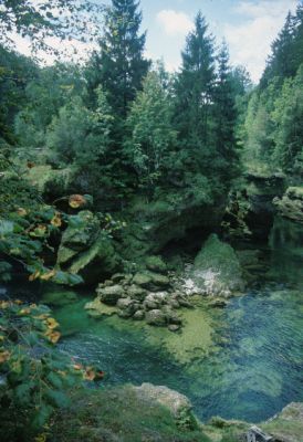 Teil der Traunschlucht mit Konglomerat-Steilabfällen