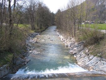 Grünaubach im südlichen Zipfel des Almta