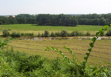 Fischteich im Bereich der Austufe der Ager bei Fischerau