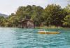Naturnaher Uferabschnitt am Attersee mit Schilfbestand und Bootshütte