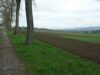 Agrarlandschaft am Rand des Freistädter Beckens; Pernau bei Neumarkt/Mkr.