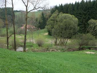 Durch wiederholte Hochwässer beeinflusste Talwiesen an der Kleinen Gusen bei Achleiten, rechts alte Böschungsaufforstung.