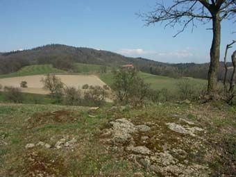 Anstehendes Gestein auf Kuppe und Streuobstbestände am Pfenningberg.