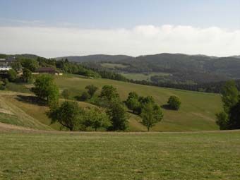 Blick über Streuobstbestände auf waldreiche Umgebungsbereiche des Tals der Kleinen Gusen; Lindach bei Unterweitersdorf.