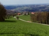 sanftwellige Landschaft mit Streuobstbeständen im Bereich nördlich des Wildgraben; 2,4 km südöstlich St. Ulrich bei Steyr; Blickrichtung Westen
