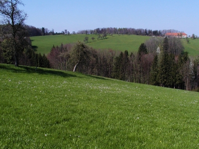 Landschaft zwischen Aschach an der Steyr und Garsten beim gehöft Mayer von Holz. Blickrichtung Nordost