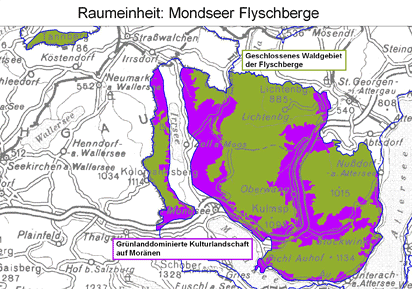 Karte: Raumeinheit Mondseer Flyschberge