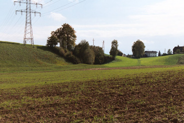 Terrassenkante einer Trockentalböschung mit kleiner Gehölzgruppe