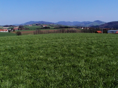 Blick von Aschach an der Steyr in das Gebiet zwischen Damberg und Mühlbachgraben. Blickrichtung Südosten