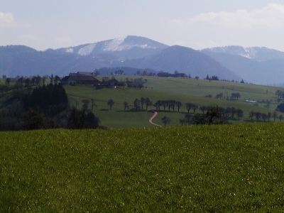 Blick über Intensivwiesen und Streuobstbestände südlich Aschach an der Steyr, 1,8 km südwestlich von Aschach an der Steyr. Blickrichtung Süden